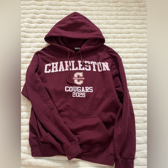 Charleston Cougars 2026 Hoodie Gildan Adult Unisex Sz Medium - Picture 1 of 5